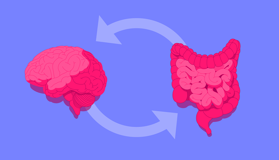 محققان موفق به کشف رابطه میان باکتری های روده و افسردگی شدند| تکلی محققان موفق به کشف رابطه میان باکتری های روده و افسردگی شدند| تکلی