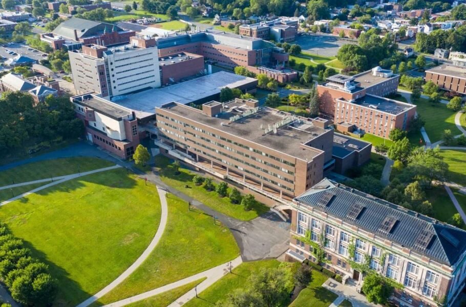 اشتباه یک نظافتچی در خاموشکردن فریزر آزمایشگاه، 20 سال تحقیق را نابود کرد!|تکلی اشتباه یک نظافتچی در خاموشکردن فریزر آزمایشگاه، 20 سال تحقیق را نابود کرد!|تکلی