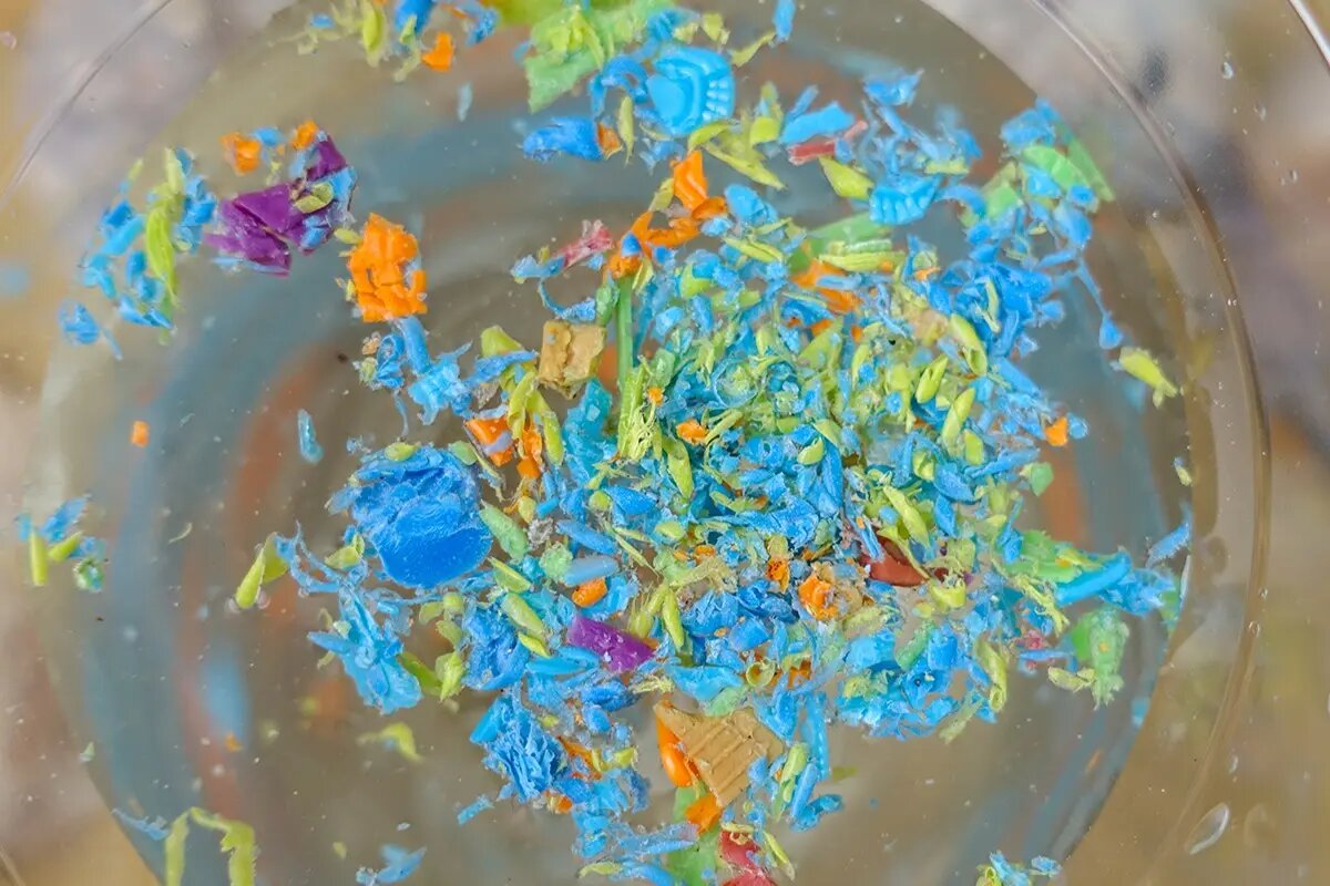 میکروپلاستیکها با عبور از سد خونی مغز باعث بیماریهای عصبی خواهند شد|تکلی میکروپلاستیکها با عبور از سد خونی مغز باعث بیماریهای عصبی خواهند شد|تکلی