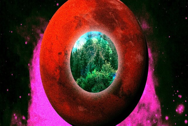 ایده ساخت جنگلی درون یک حباب برای سکونت روی مریخ| تکلی ایده ساخت جنگلی درون یک حباب برای سکونت روی مریخ| تکلی