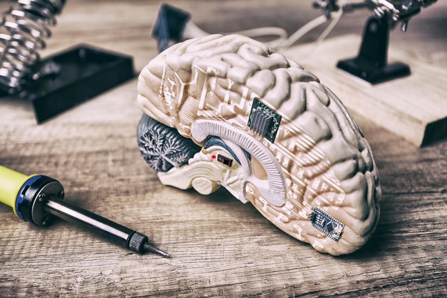 عملکرد جدیدی برای ماده سفید مغز کشف شد| تکلی عملکرد جدیدی برای ماده سفید مغز کشف شد| تکلی